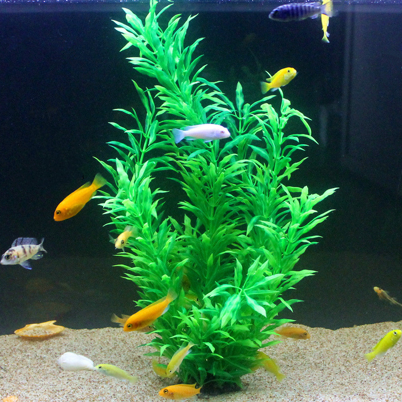 50 ซม.ถังปลาประดิษฐ์พืชหายากAq - Aquarium Plants Book บทวิจารณ์และราคา