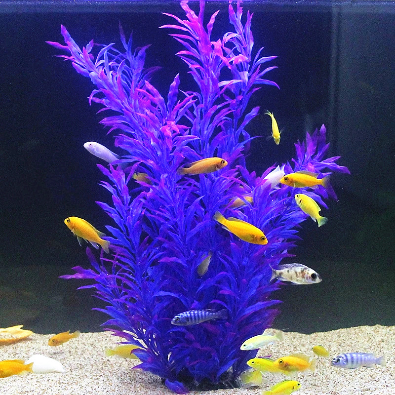 50 ซม.ถังปลาประดิษฐ์พืชหายากAq - Aquarium Plants Book บทวิจารณ์และราคา