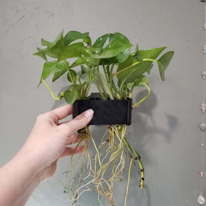 ที่แขวนสำหรับกระถางต้นไม้น้ำที - Emersed Plants Aquarium บทวิจารณ์และราคา