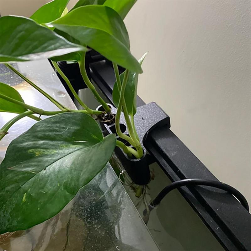 ที่แขวนสำหรับกระถางต้นไม้น้ำที - Emersed Plants Aquarium บทวิจารณ์และราคา