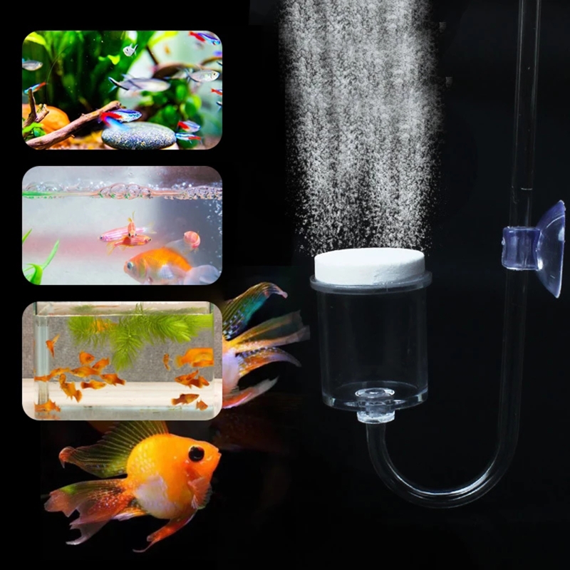 DIY ชุดกระจาย CO2 4ชิ้นสำหรับต - Aquarium Plants Book บทวิจารณ์และราคา